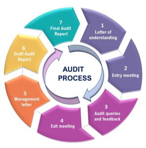 Blockchain Audit Process