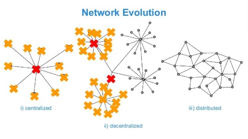 Blockchain Networks