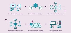 Blockchain Networks