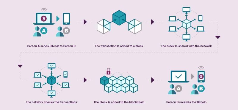 Blockchain Networks