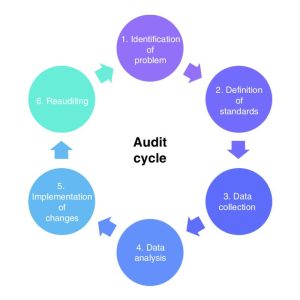 Development of Audit Action Plans