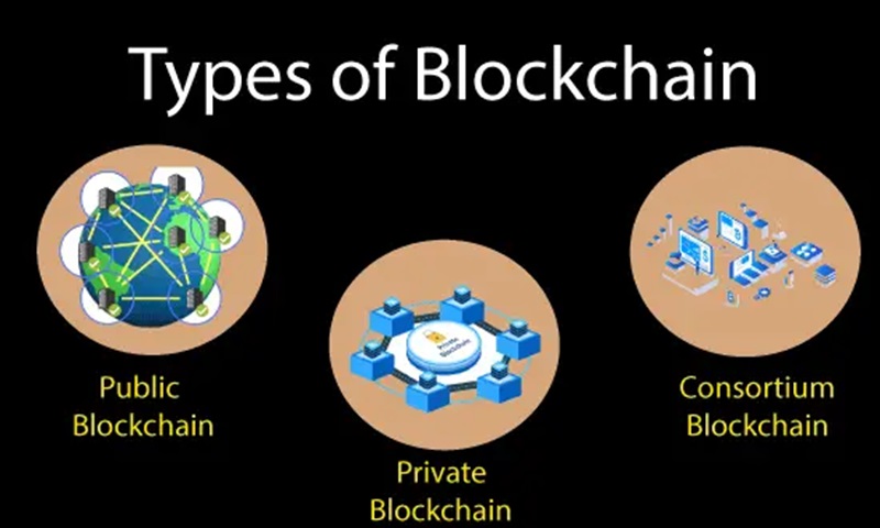 what-are-the-different-types-of-blockchain