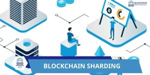 of Blockchain in Education