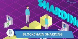 Security Implications of Blockchain Sharding