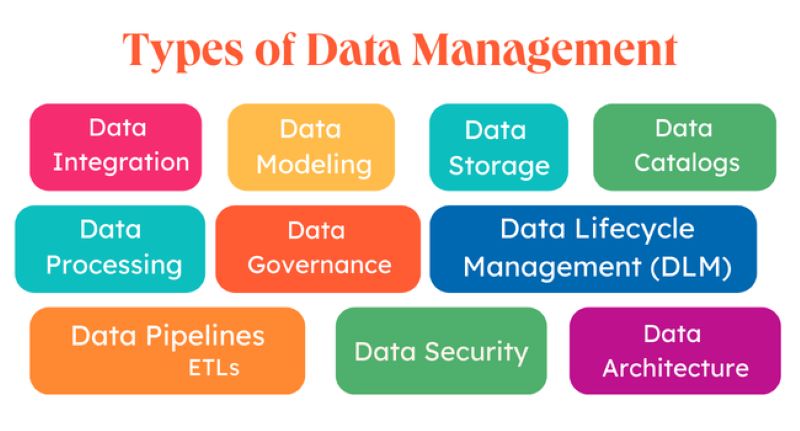 types-data-management