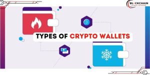 Different Types of Crypto Wallets: