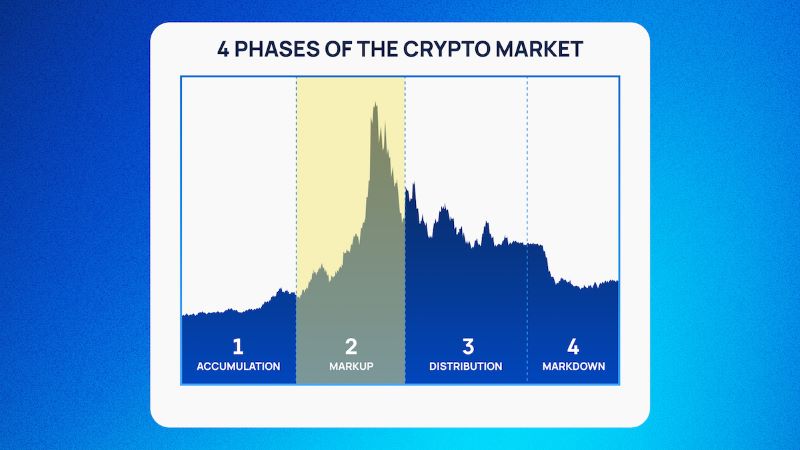 Cryptocurrency Market Cycles