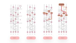 Hashgraph Consensus