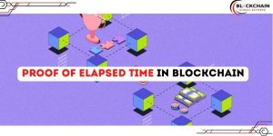 Proof of Elapsed Time in Blockchain