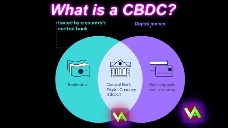 CBDCs and Digital Dollars