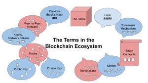 Blockchain Ecosystem