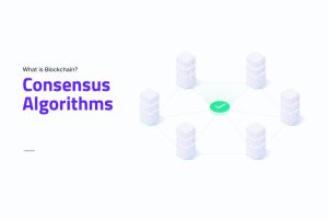 Consensus Algorithms