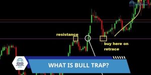 what is a bull trap