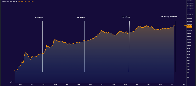 Bitcoin Halving Cycle