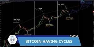 Bitcoin Halving Cycle