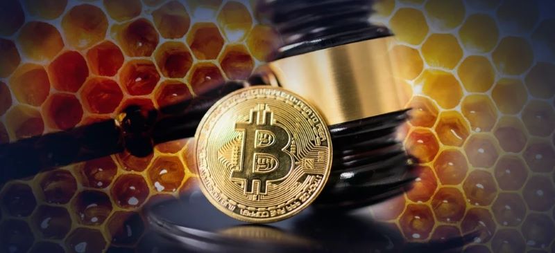 What Is a Honeypot in Crypto