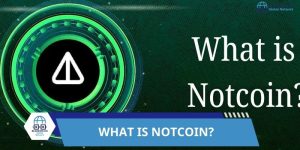 What is Notcoin