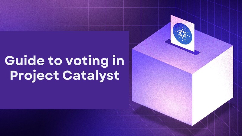 A detailed guide to voting in Project Catalyst