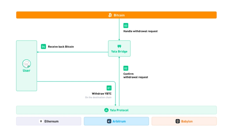 BTC Withdrawal Process