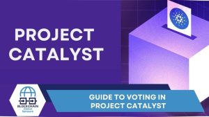 Guide to voting in Project Catalyst