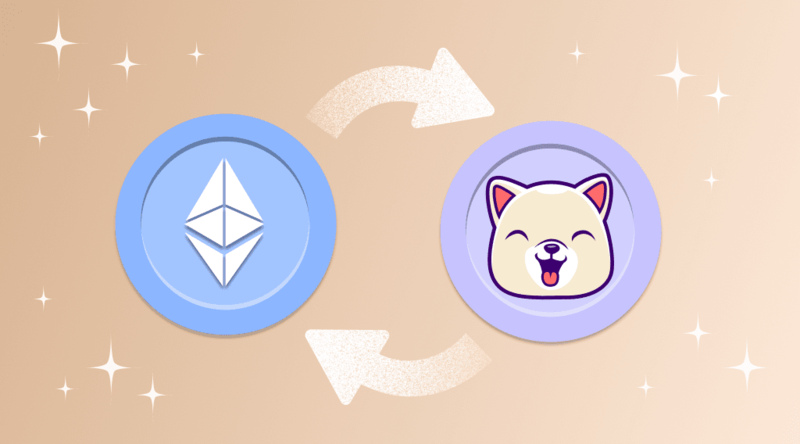 How to buy Kishu Inu Coin