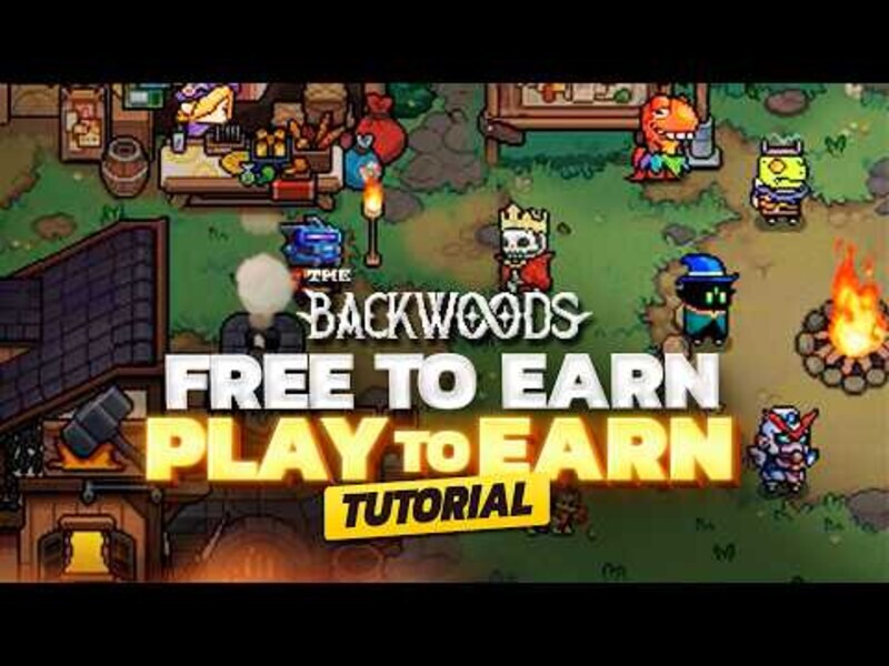 Key features of The Backwoods Game