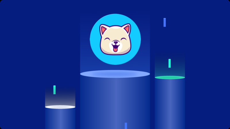 Risks and challenges of Kishu Inu Coin