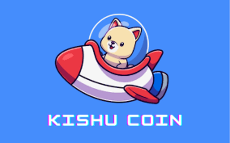 What is Kishu Inu Coin?