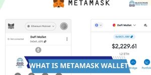 what is meta mask wallet