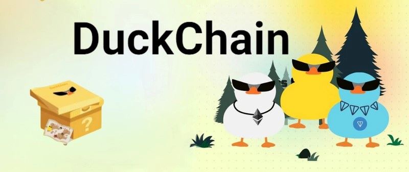 DuckChain