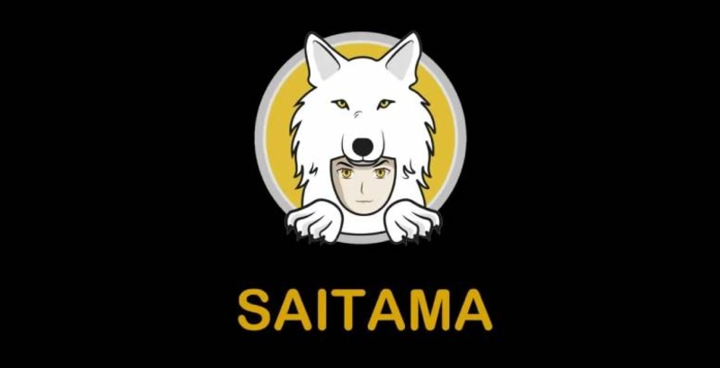 Introduction to Saitama Coin