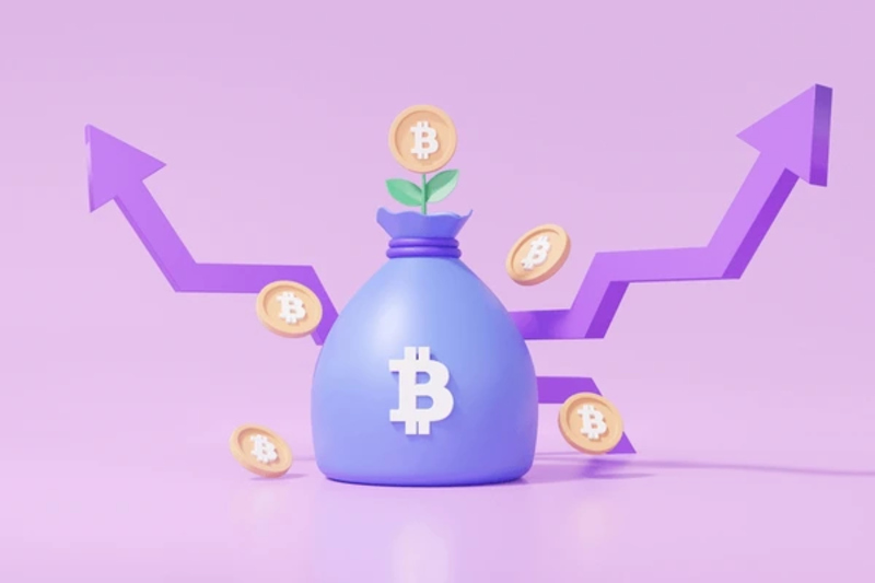 Investment potential of Purple Bitcoin