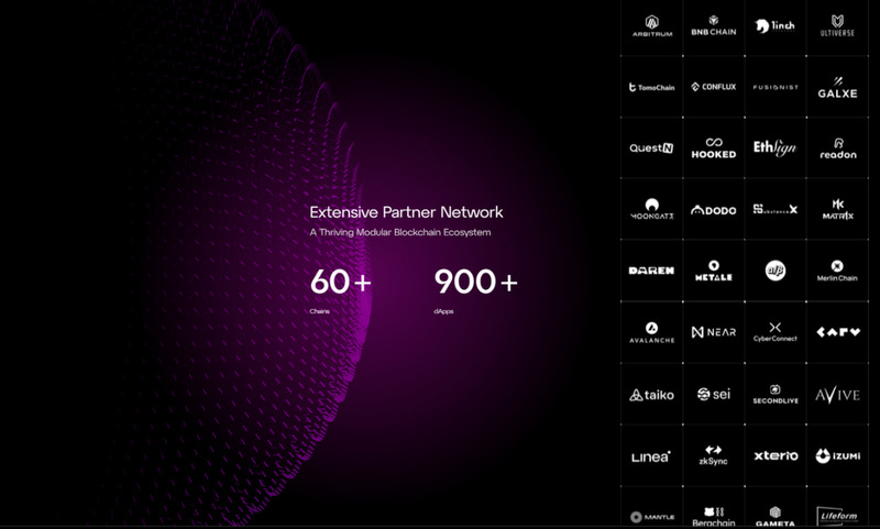 Strategic partners of Particle Network