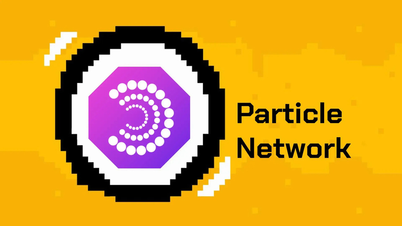 What is Particle Network?