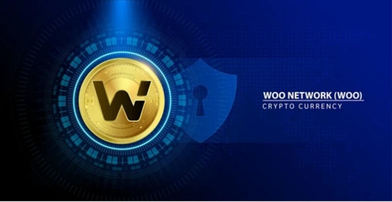 Why is WOO Network attractive to investors?