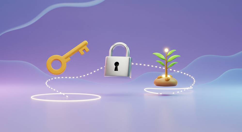 Understanding public keys private keys and seed phrases